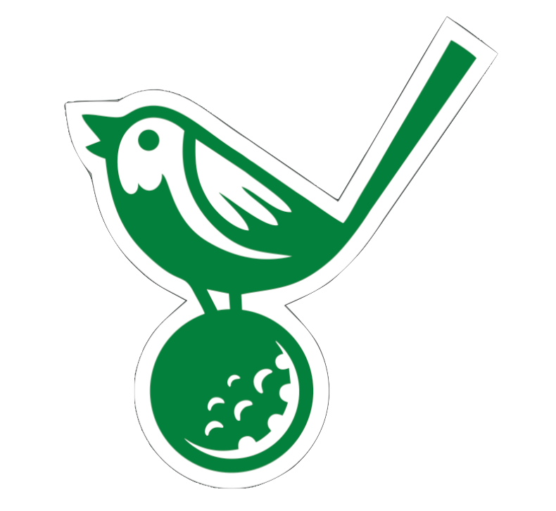 Lessons with a Golf Pro — Birdie's Clubhouse